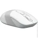  A4Tech Fstyler FG10S White (FG10S(White))