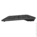 A4Tech FX61 USB (Grey)