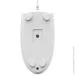  A4Tech N-530S (White)