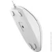  A4Tech N-530S (White)