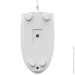  A4Tech N-530S White