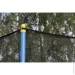   Abarqs     12   372-376  (M-11280317)