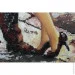 Abris Art         -2 AB-406 240470 