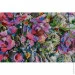 Abris Art     " " AB-618 3030 