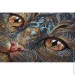 Abris Art     " " AB-900 4330 