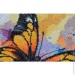 Abris Art     "  " AH-216 2232 