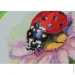 Abris Art     " " AHM-078, 1717 