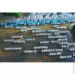 Abris Art     " " AM-163 1515 