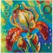 Abris Art     " " AM-203   