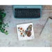 Abris Art -    " " AM-239 1515 