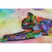 Abris Art -    " " AMB-060 2020 