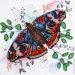 Abris Art -      AMB-103   