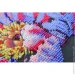 Abris Art -      AMB-104   