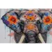 Abris Art -    " " AMB-116   