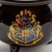 Abystyle Чашка 3D HARRY POTTER Cauldron (Гаррі Поттер) (MG2010) Abystyle Чашка 3D HARRY POTTER Cauldron (Гаррі Поттер) (MG2010)