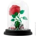 Abystyle  DISNEY Enchanted Rose (  ) (ABYFIG040)
