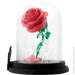 Abystyle  DISNEY Enchanted Rose (  ) (ABYFIG040)