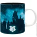 Abystyle  HARRY POTTER Expecto Patronum ( ) 320  (ABYMUG726)