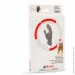  Accapi Thermolite  (Black, XL) (A888.999-XL)
