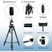 Accento Lighting ʳ  26    