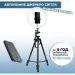 Accento Lighting ʳ  26    