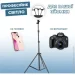 Accento Lighting   34    
