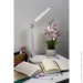   Accento Lighting LML-520CCT-B 