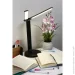   Accento Lighting LML-618AC42-S 