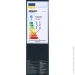   Accento Lighting LML-618AC42-S 