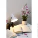   Accento Lighting ML-108-B 