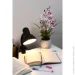   Accento Lighting ML-108-S 