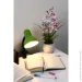   Accento Lighting ML-108-Y 