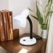   Accento Lighting ML-203-B 