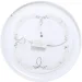 Accento Lighting  - Plate 36   51977