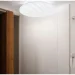 Accento Lighting  - Zebra 36   51979