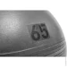 ' Adidas Gymball (ADBL-11246GR-65 )