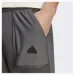   Adidas City Escape Pants (IC9746-XS)