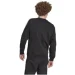  Adidas Classics 3-Stripes (IM2087-2XL)