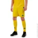 Adidas  CULIC24 SHO IK2248-ylw . XL 