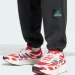   Adidas Equipment Fleece Pants (JC8224-L)