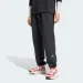   Adidas Equipment Fleece Pants (JC8224-L)