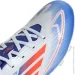 Adidas  F50 CLUB FXG IE0611 .44 