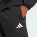   Adidas Future Icons Small Logo (JD4949-2XL)