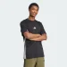 Adidas  M 3S SJ T JD1906 .S 