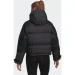  Adidas Terrex Xploric Down (HG8571-L)