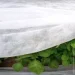 Agreen Агроволокно белое 23 1,6х10 м Agreen Агроволокно белое 23 1,6х10 м