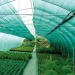 Agreen   45% 4.050 -
