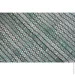 Agreen   60% 2,0100  -