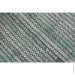 Agreen   60% 6,050  -