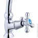  Agua Toledo-C091